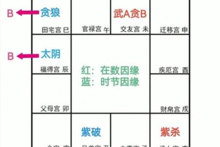 了解命格的奥秘：命理解析与人生指引