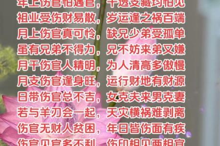 男命从弱伤官见官的命理解析与人生启示