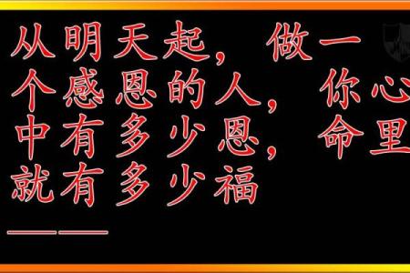 探秘“命”的奥义：人与命运之间的微妙关系
