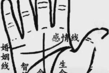 揭秘女人断掌纹：潜藏的命格与人生轨迹