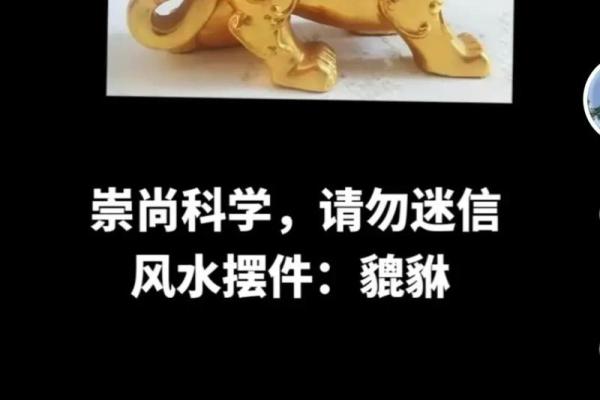 探索貔貅命孩子的命理特征与生活影响