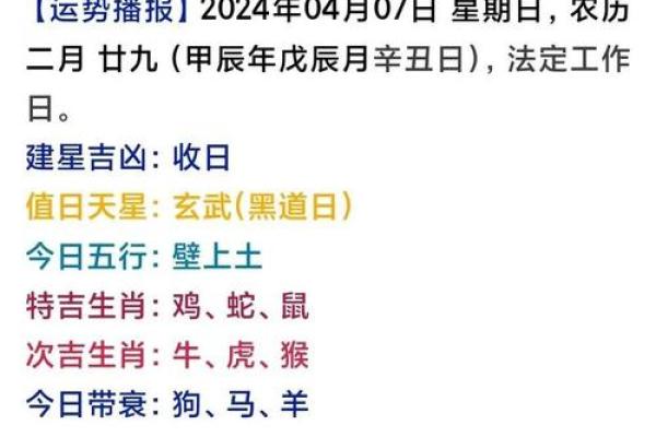 2004年7月4日出生的孩子命理解析与性格特征