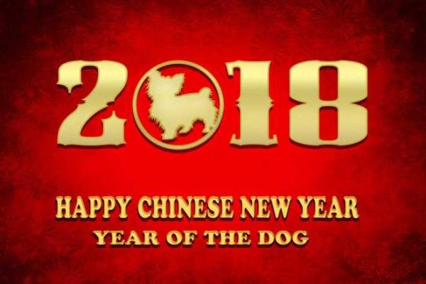 解读农历六月属虎命理：辉煌与挑战的生命之路