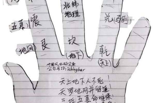 探索命局中的地支密码：如何解读你的命运之钥