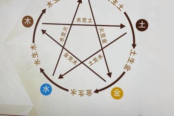 木水相生：浅谈木与水五行命理之美