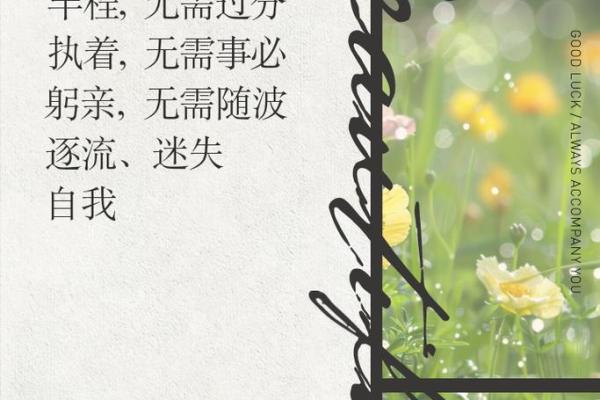 四十而不惑：探索男人四十岁的人生轨迹与命运