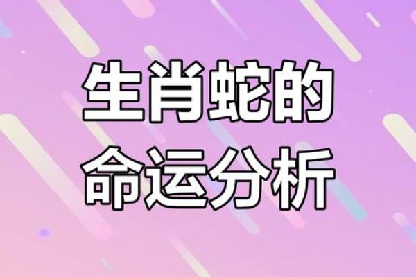 生肖女性的命运解析：从生肖看女性的性格与人生轨迹