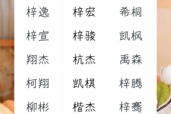 为男孩木命起的小名：寓意与选择指南