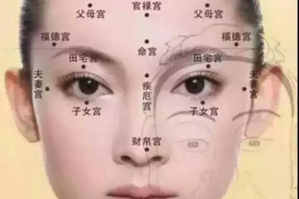 解读女命中的财官：如何找到命理中的财富与权势平衡