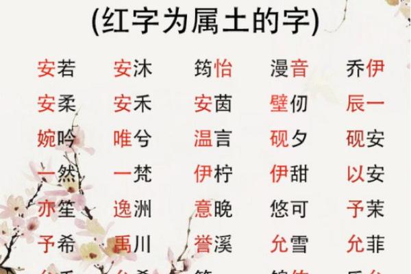 适合男孩土命的名字选择与取名技巧研究