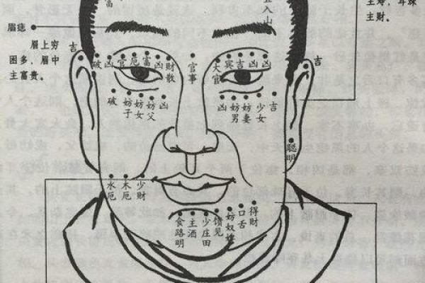 男人胳膊是龙骨吗？揭密男性命理中的神秘寓意！
