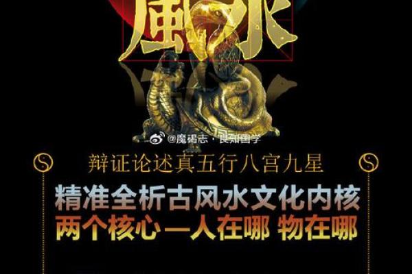 命局与流年：揭示人生潜能与机遇的奥秘