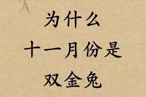 农历十月十一出生的兔宝宝：命运与性格的深度解析