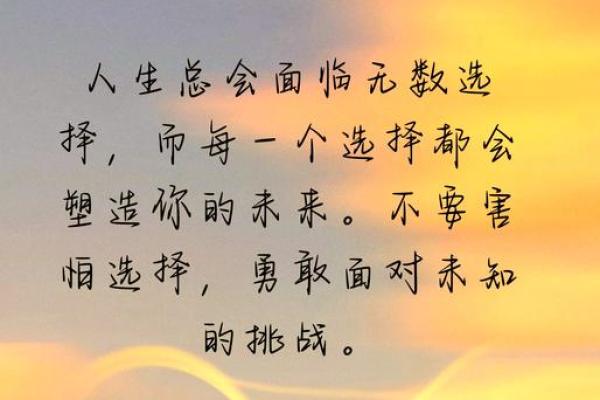 九四年出生的人：属什么命，面对人生挑战的精彩旅程