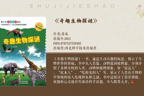 长命的动物，谜底揭晓：乌龟的传奇一生