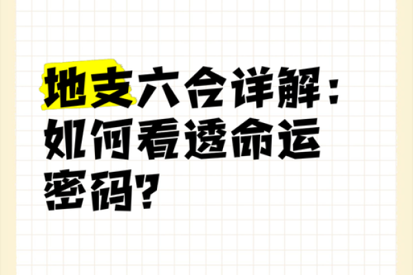 命理探秘：离命与生肖的深刻联系，揭示你的命运密码