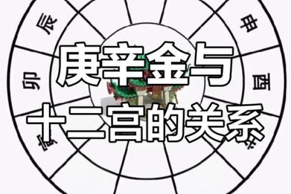 命理探秘：离命与生肖的深刻联系，揭示你的命运密码