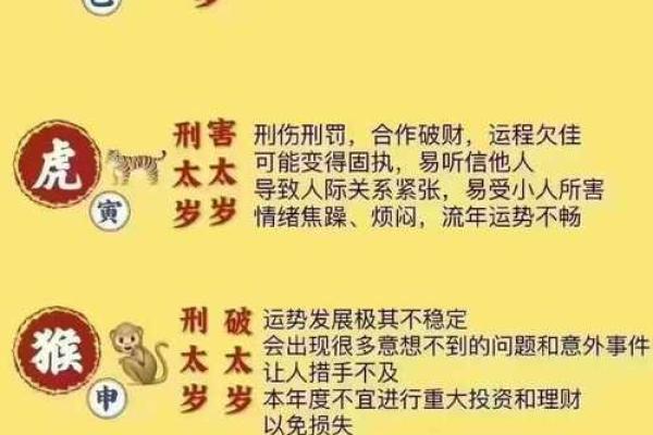 流年太岁入命的深刻解读与人生智慧