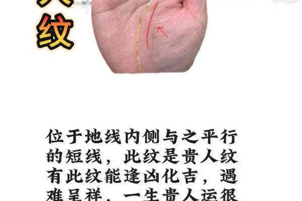 看手相算命：揭示你命运的秘密与可能性