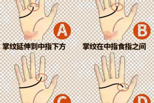 看手相算命：揭示你命运的秘密与可能性