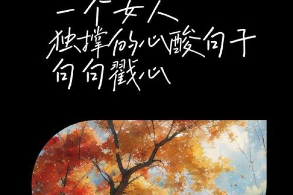 女人操心命：探寻女性内心深处的无奈与坚强