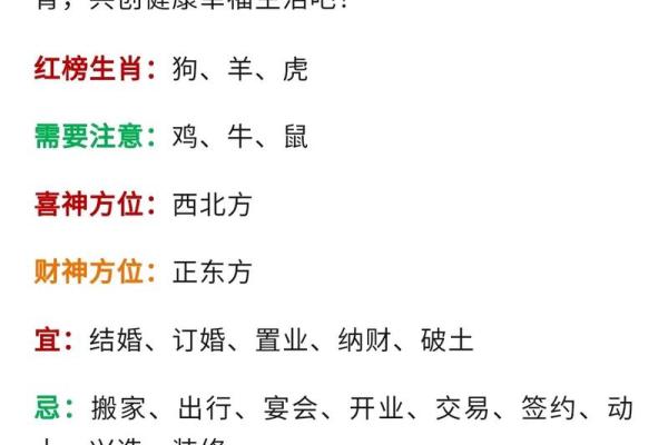 2023年女孩生肖解析：她的命运之谜与成长之路