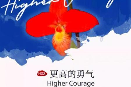 揭秘女人兰花命的内涵与象征：优雅与力量的结合