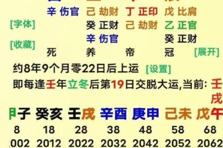 命局同党解析：人生航路的合拍与相辅相成