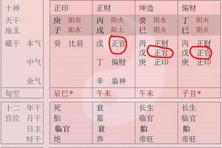探索命局中的地支密码：如何解读你的命运之钥
