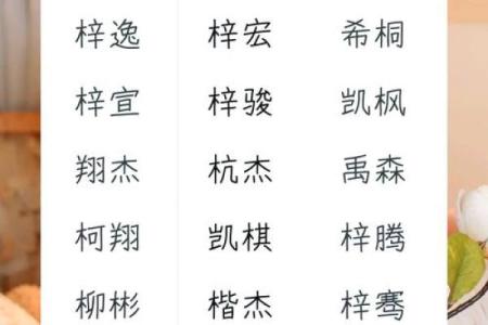 为男孩木命起的小名：寓意与选择指南