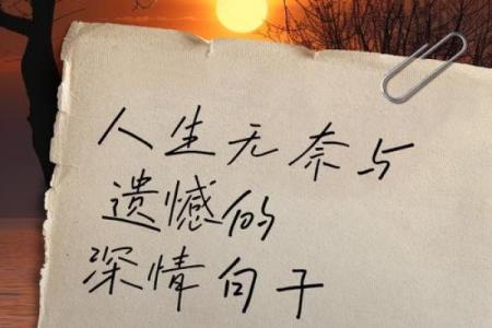 可惜之命:人生中的那些无奈与遗憾