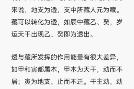 解密戊戌年命：探索命理与卦象的奥秘