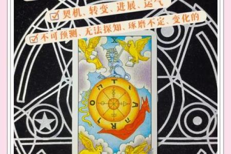 女命八字不强不弱的深层解读与人生启示
