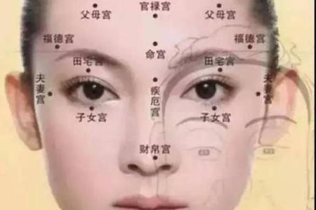 解读女命中的财官：如何找到命理中的财富与权势平衡