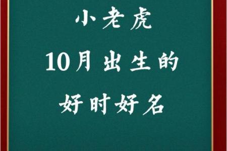 揭秘虎年出生人的独特命运与性格特征