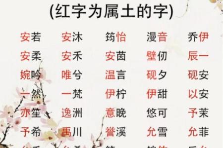 适合男孩土命的名字选择与取名技巧研究