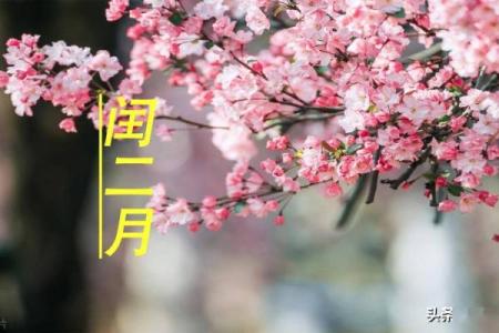 探秘农历闰二月的甲木命：与自然和谐共生的生命之道