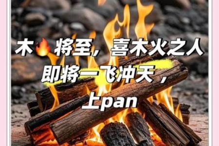 揭秘木命者如何挑选灵性车牌,助力事业腾飞!