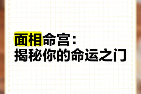 命理中的命格解析：揭开命运的神秘面纱