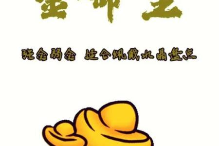 木命与金命的最佳搭配：和谐共生的命理之道