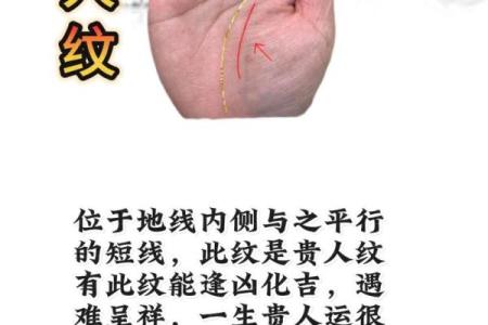 看手相算命:揭示你命运的秘密与可能性