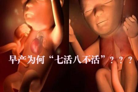 2007年出生的孩子究竟是什么命？解密命理背后的秘密！
