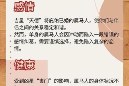 生肖马：2002年出生的人命运之轮与性格解析