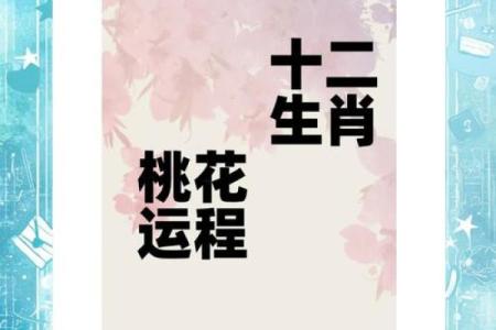 女命月上桃花:命中注定的桃花运与爱情乐章