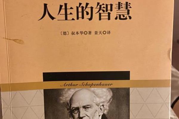 命理奇书：解读人生的神秘密码与智慧之源