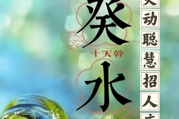葵水命与各命结合，探寻互补之道与人生智慧