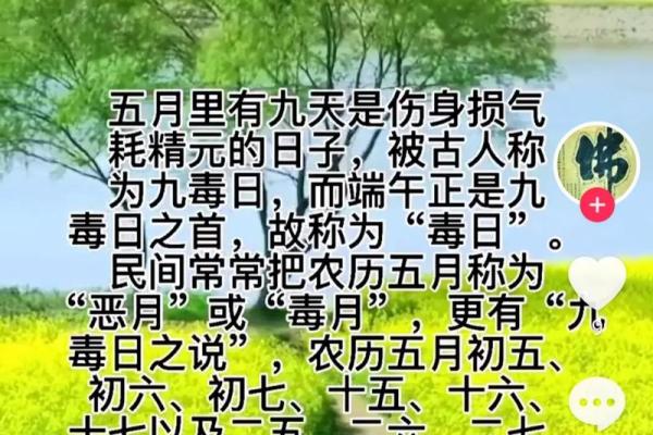 农历五月出生的人：命运与性格的完美结合