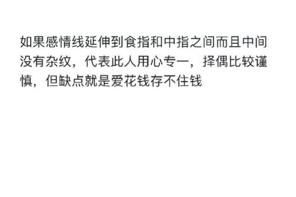 揭示手相之谜：解读“2条半命”的深层含义与人生启示