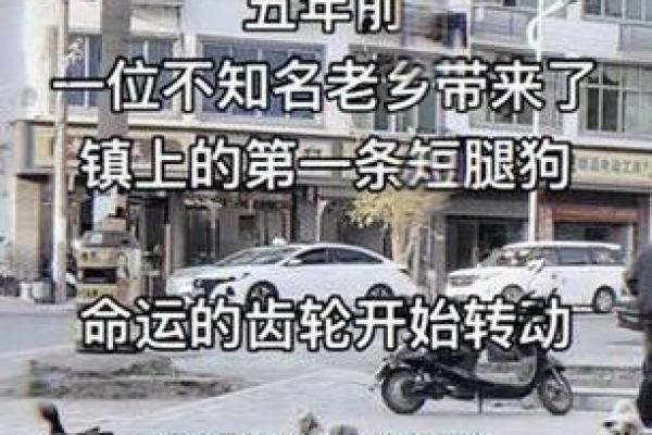 两只脚一长一短的人命运解读：别让短腿限制了你的人生高度
