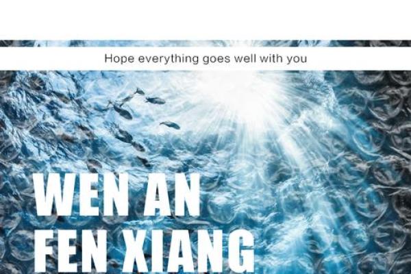 命向：探寻人生航向的智慧与启示